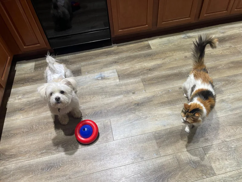 Ilya Rozanov thumbnail 2