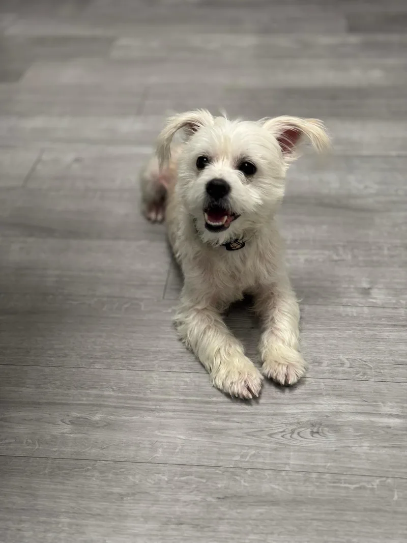 Ilya Rozanov thumbnail 4