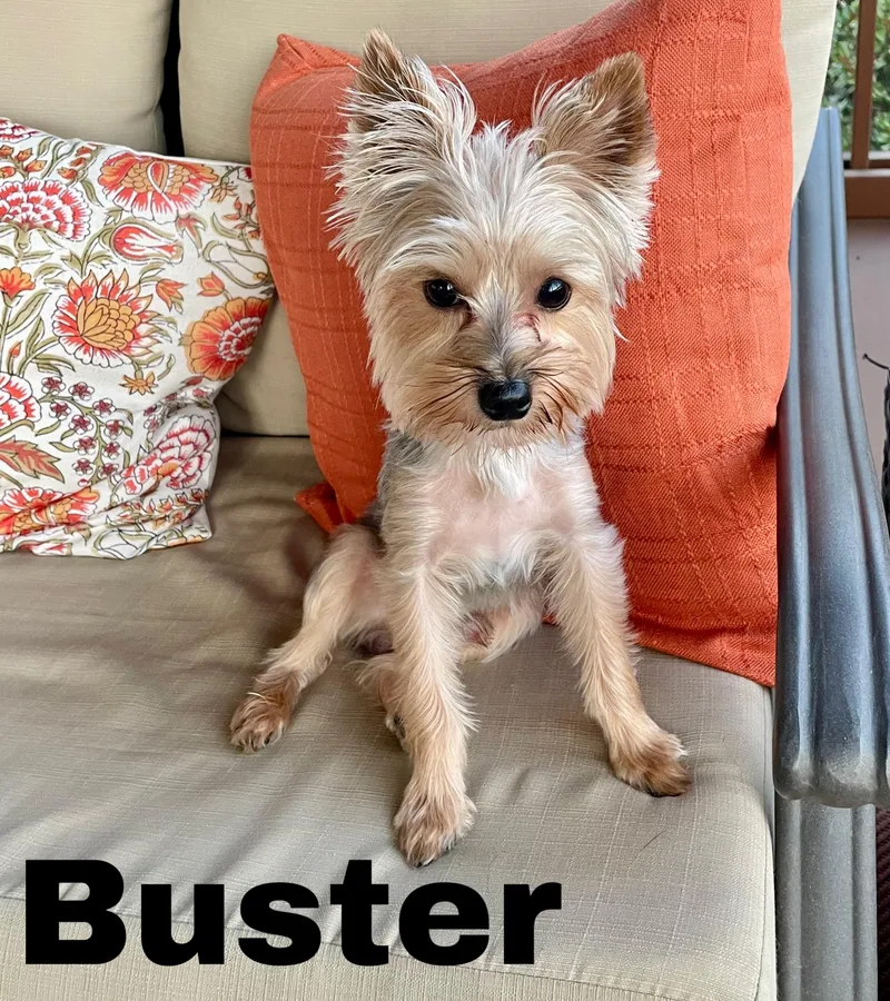 Buster