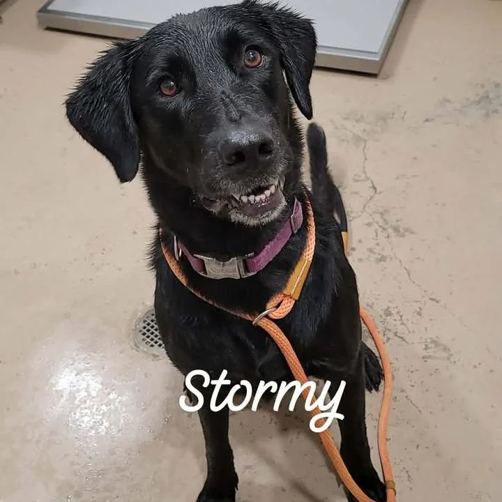 Stormy