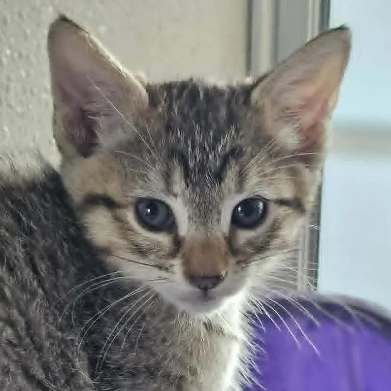Kiska