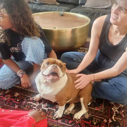 Sweet Potato thumbnail 3