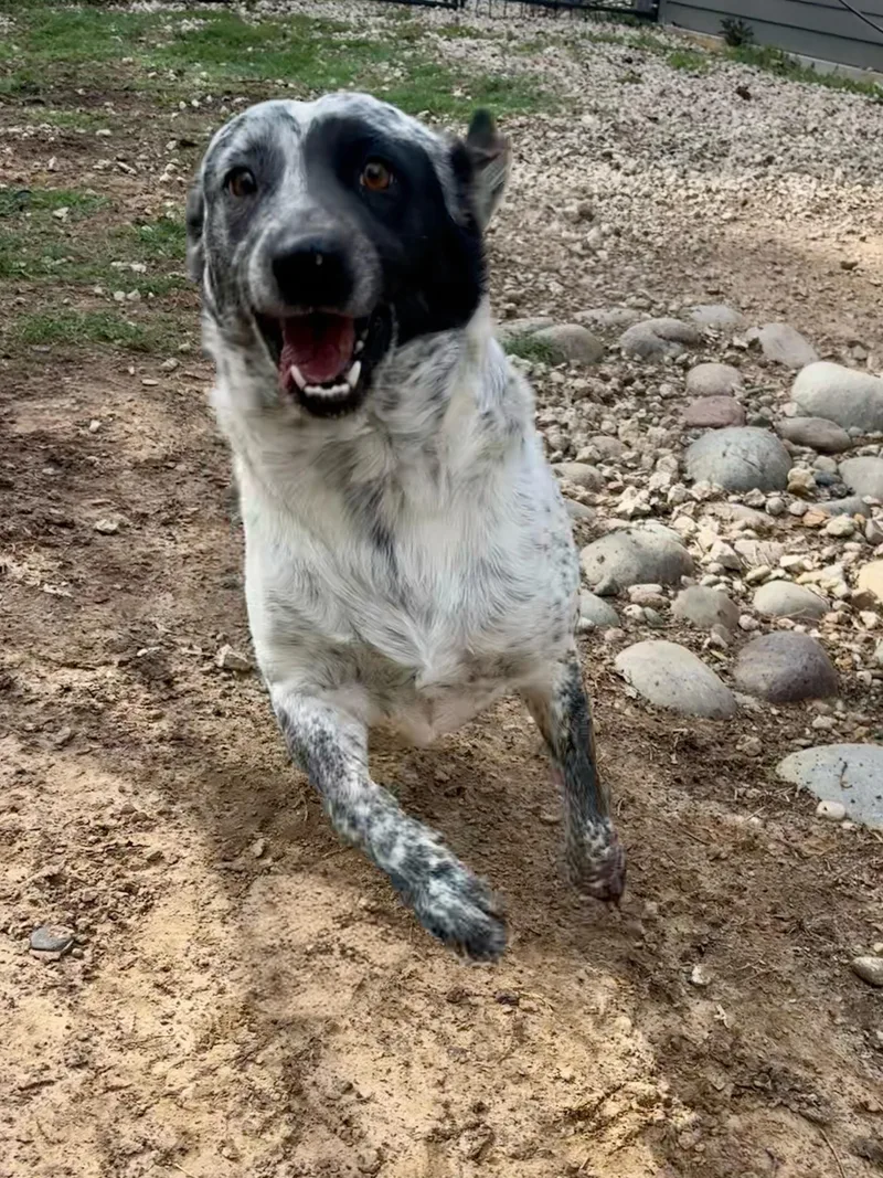 Cool Whip thumbnail 2