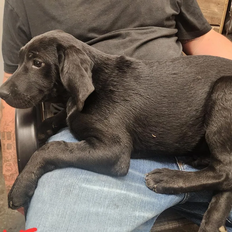 Precious thumbnail 2