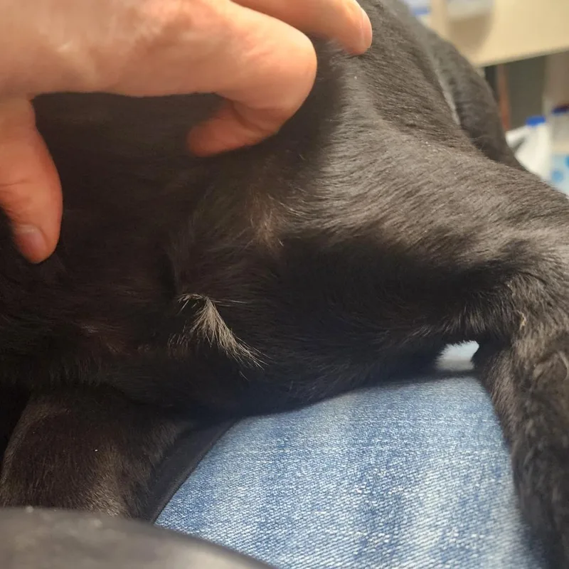 Precious thumbnail 3