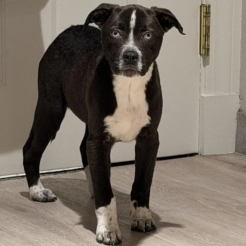 Charlotte thumbnail 2