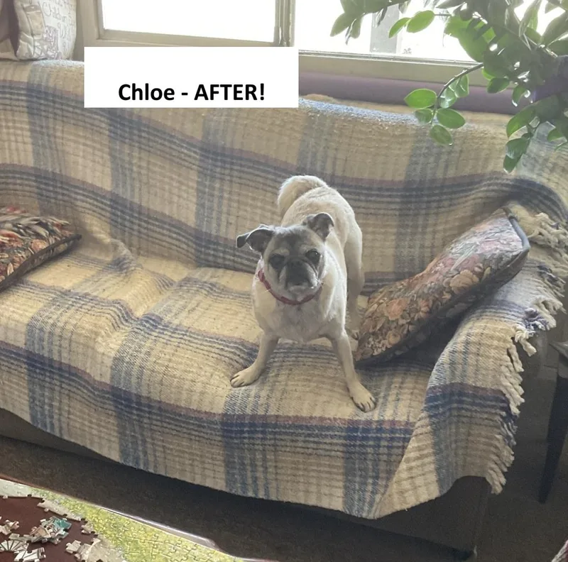 Chloe thumbnail 2