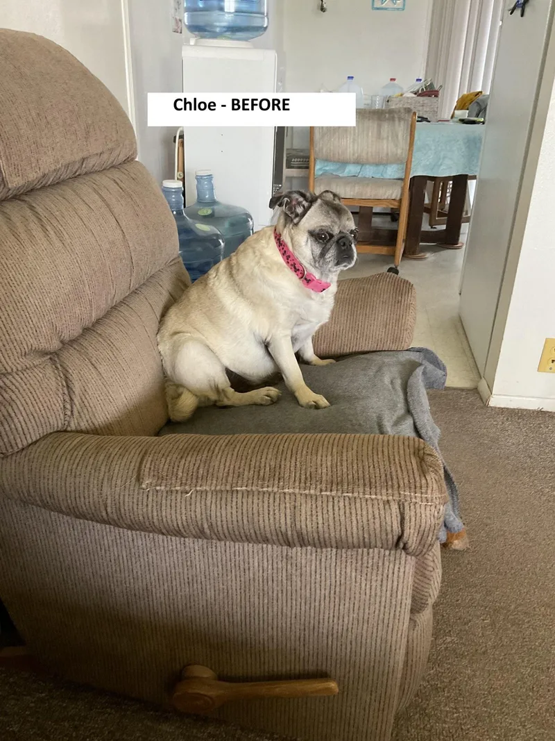 Chloe thumbnail 4