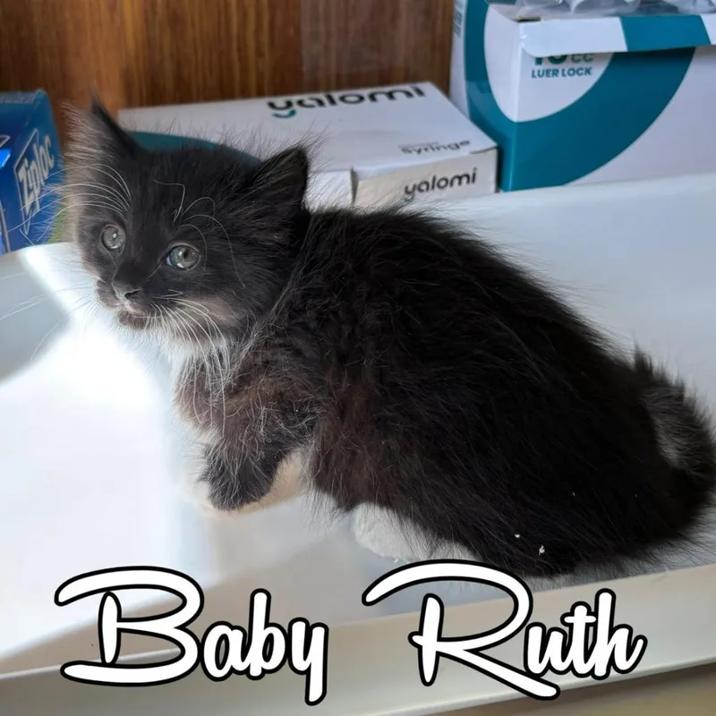 Baby Ruth thumbnail 2