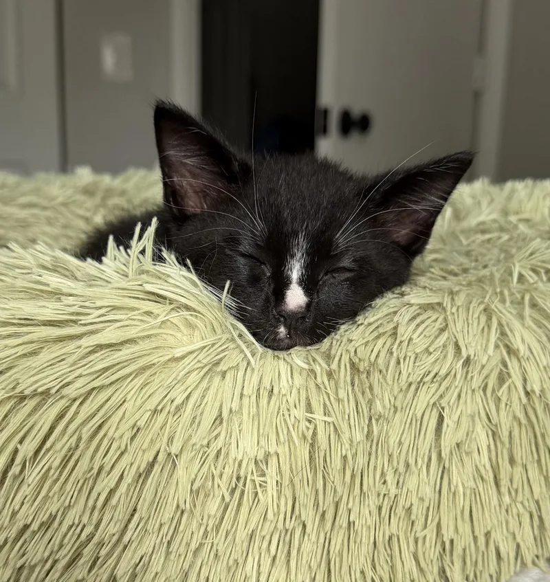 Gwinnie thumbnail 3
