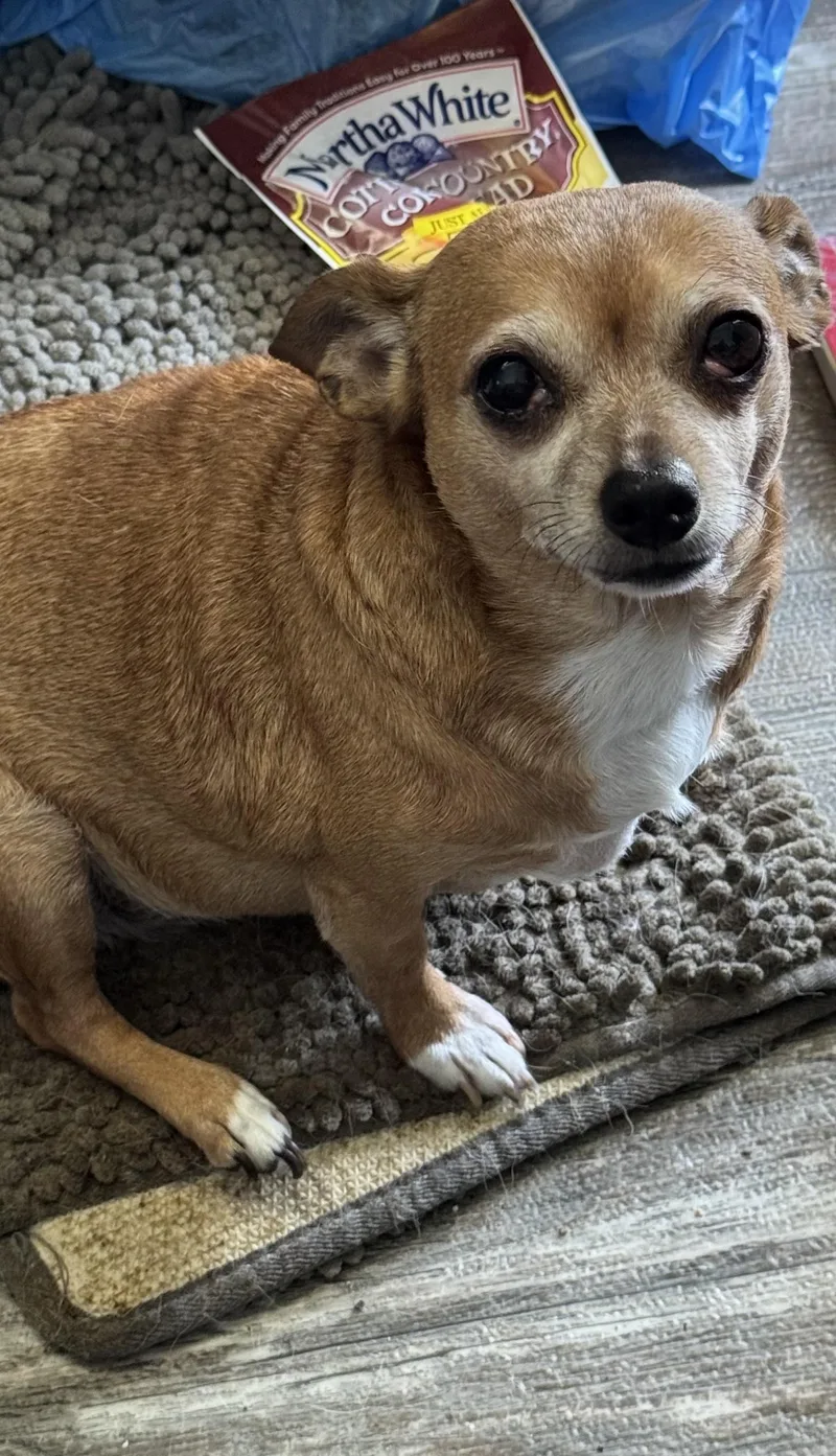 Lucy thumbnail 2