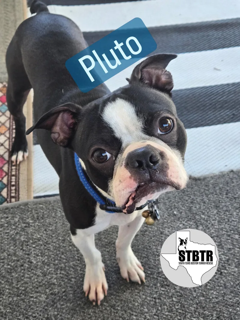 Pluto thumbnail 3