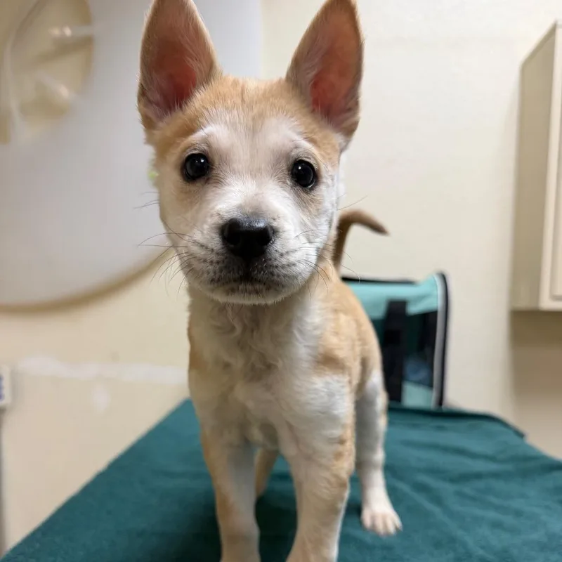 Valencia thumbnail 2