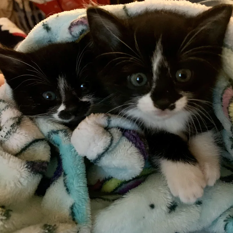 Mercedes thumbnail 3