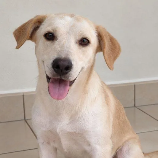 Benny