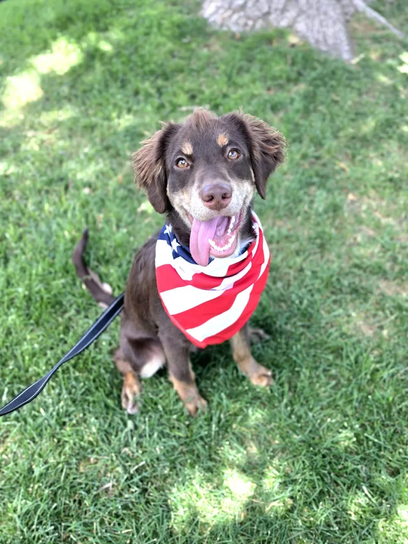 Hershey thumbnail 3