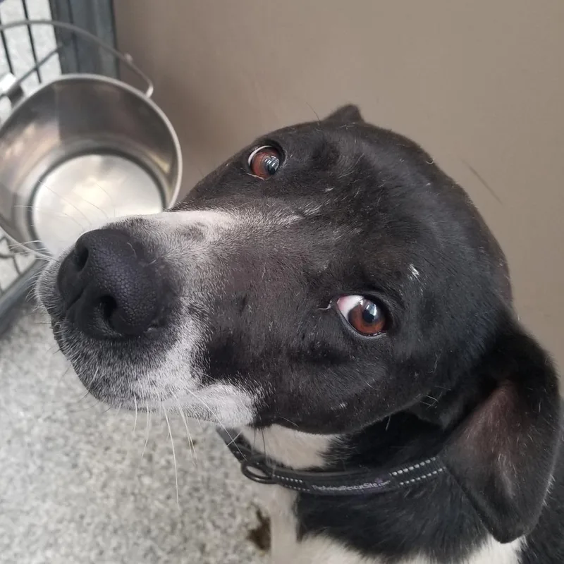 Patricia thumbnail 2