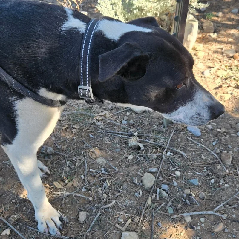 Patricia thumbnail 3