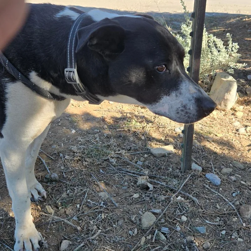 Patricia thumbnail 4