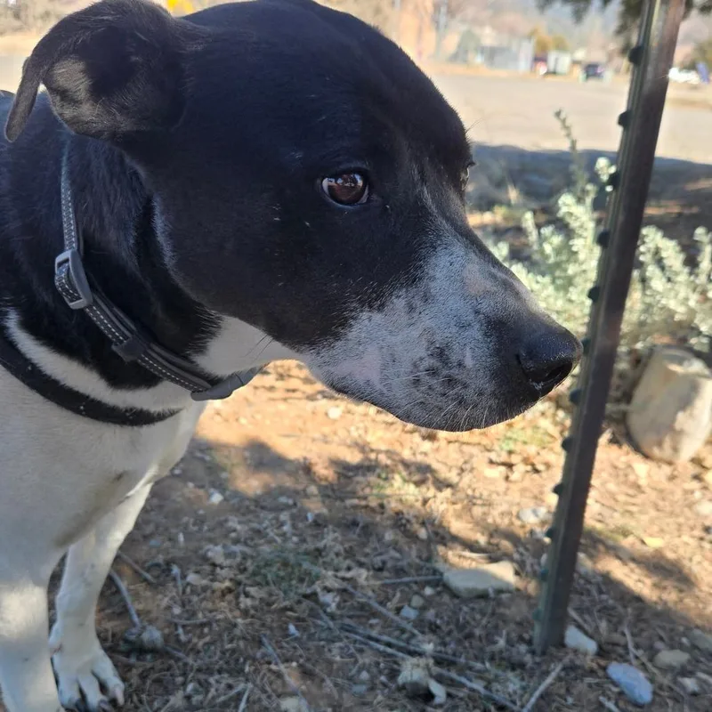 Patricia thumbnail 5