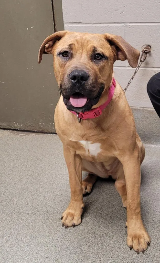 Rapunzel thumbnail 2