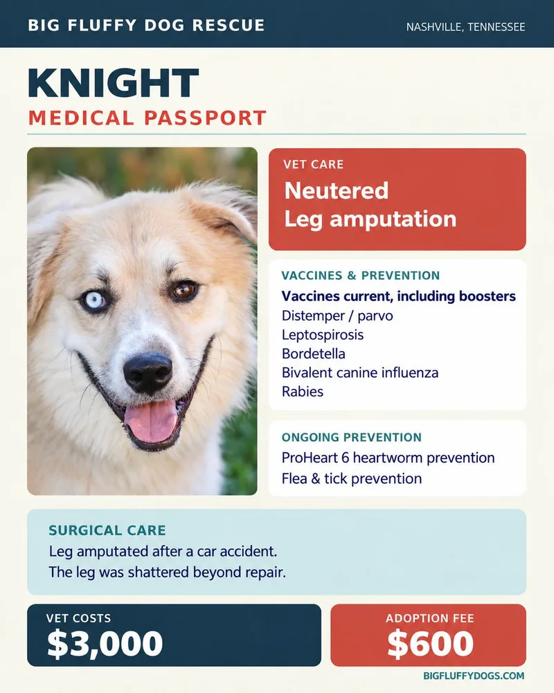 Knight thumbnail 5