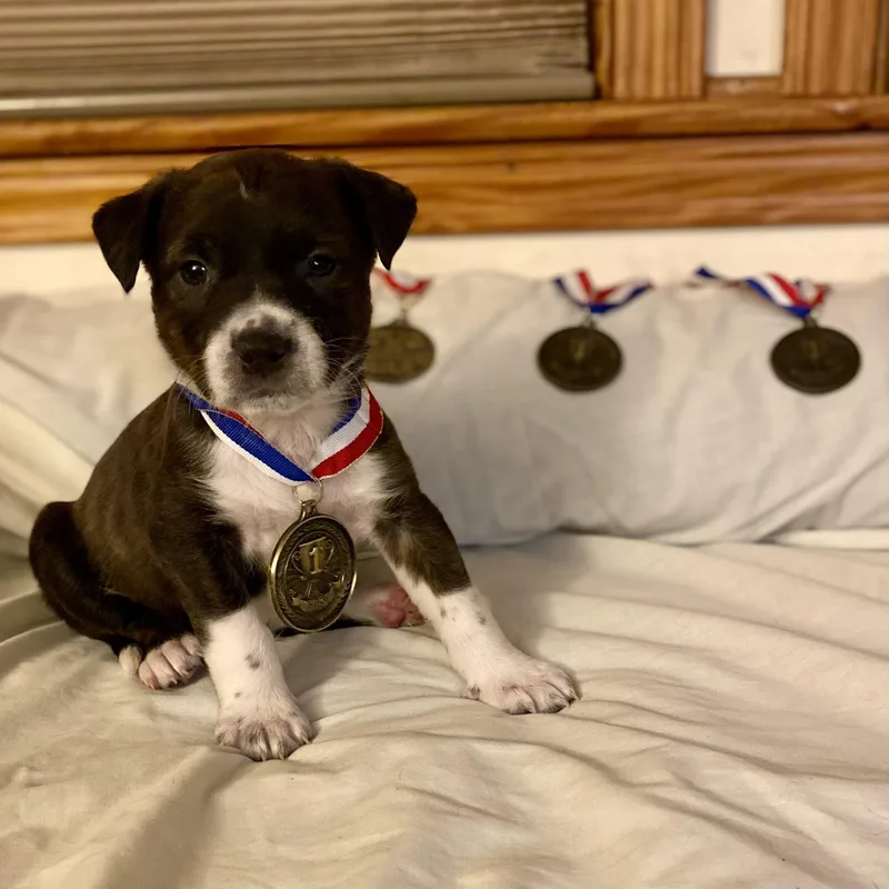 Ollie Martin thumbnail 2