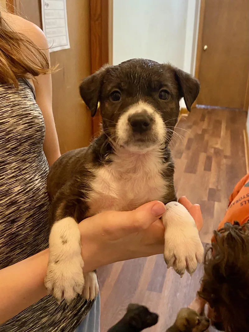 Ollie Martin thumbnail 3