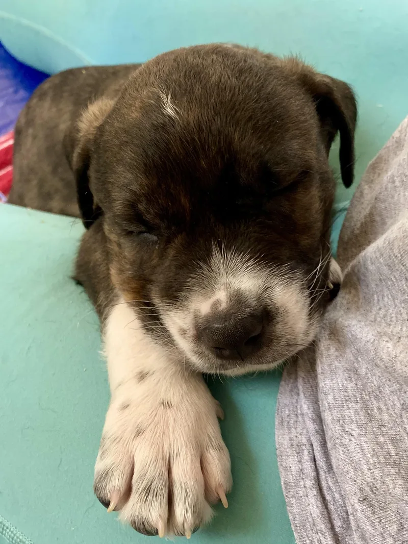 Ollie Martin thumbnail 4