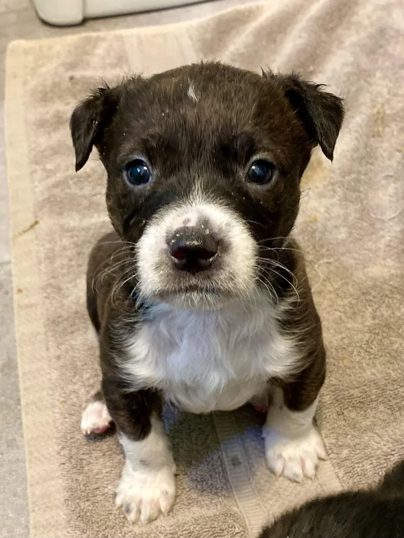 Ollie Martin thumbnail 5