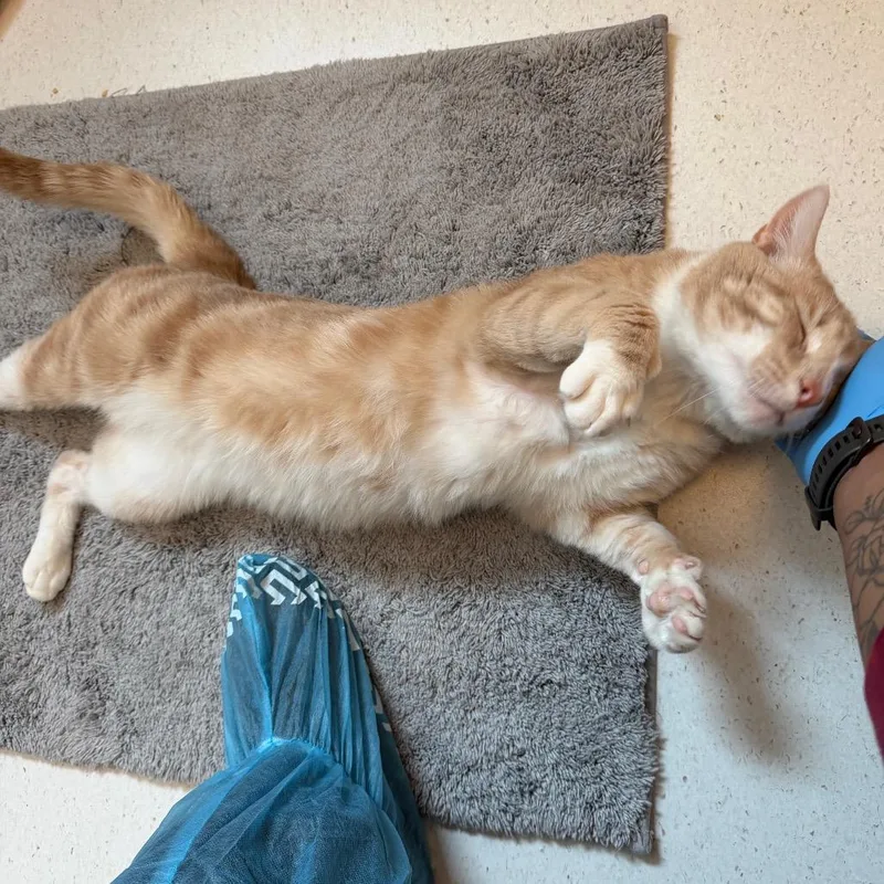 Rusty Fiv+  See thumbnail 2