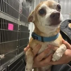 Rockstar thumbnail 2