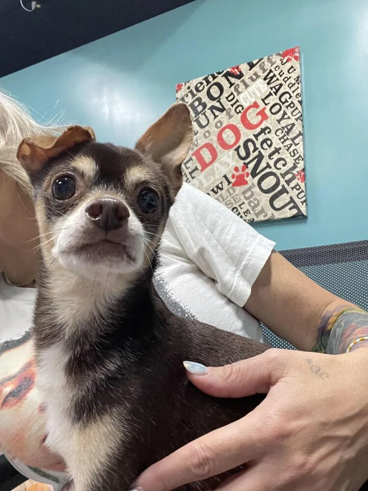 Coco