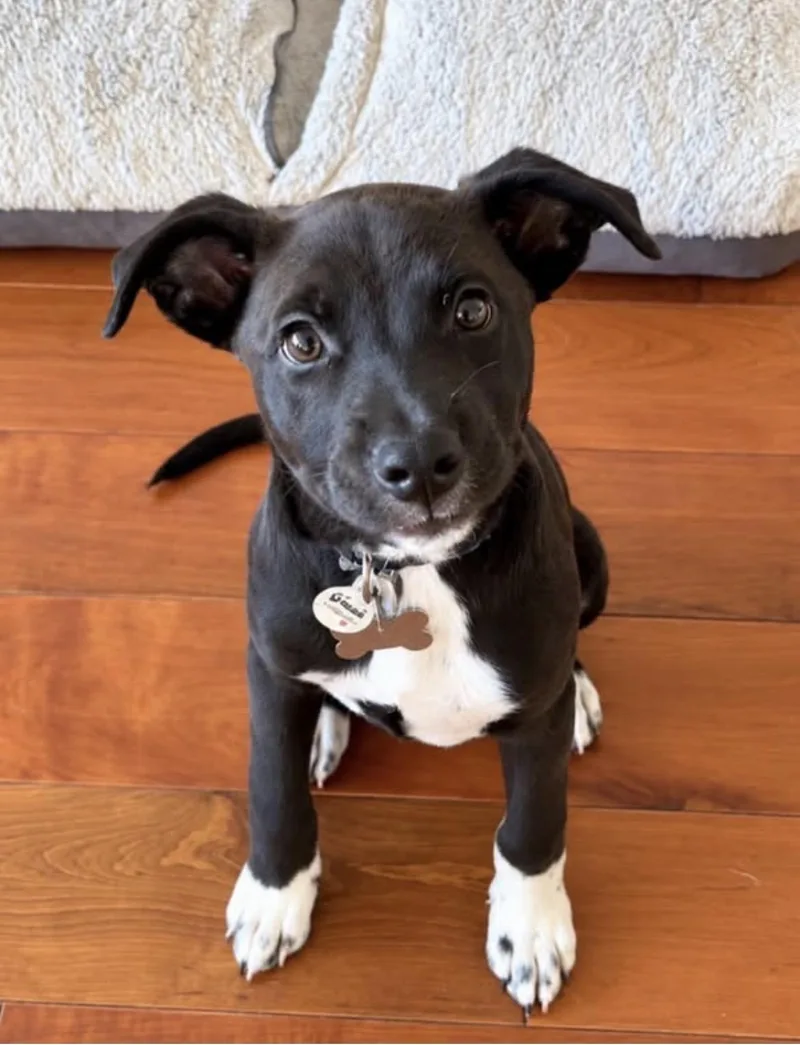 Baby Lulu thumbnail 3