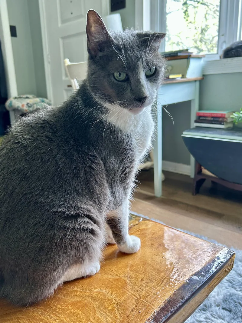 Crunchwrap thumbnail 3