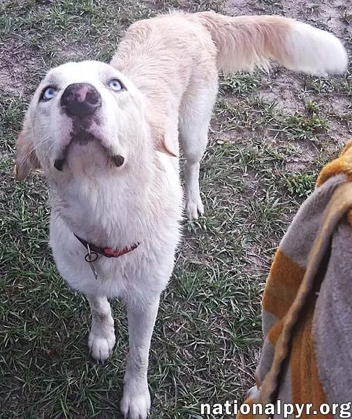 Maggie June in LA thumbnail 3