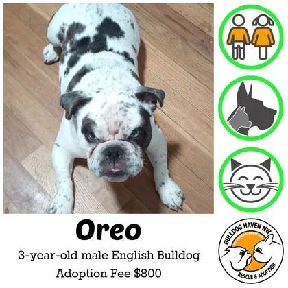 Oreo