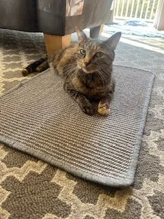 Pocahontas thumbnail 3