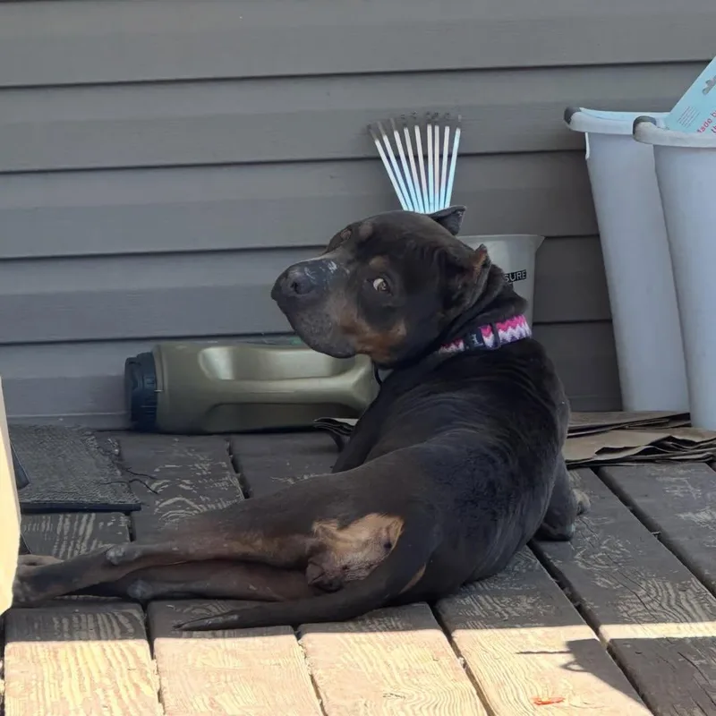 Doris thumbnail 3