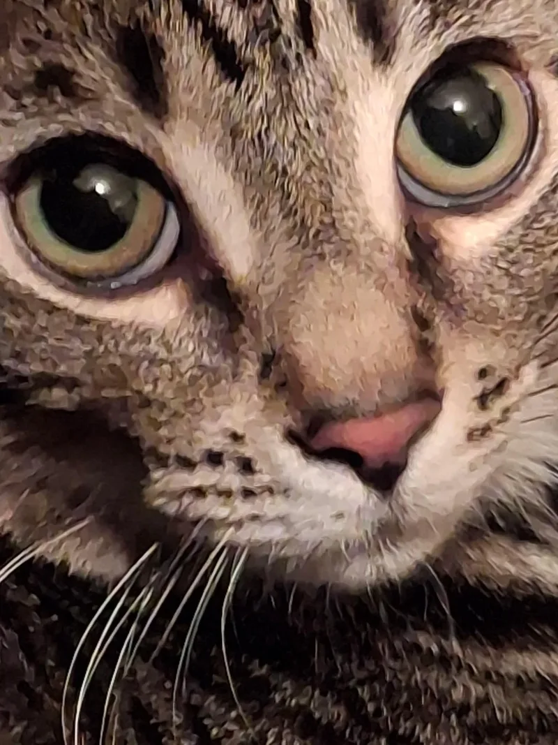 Embie thumbnail 2