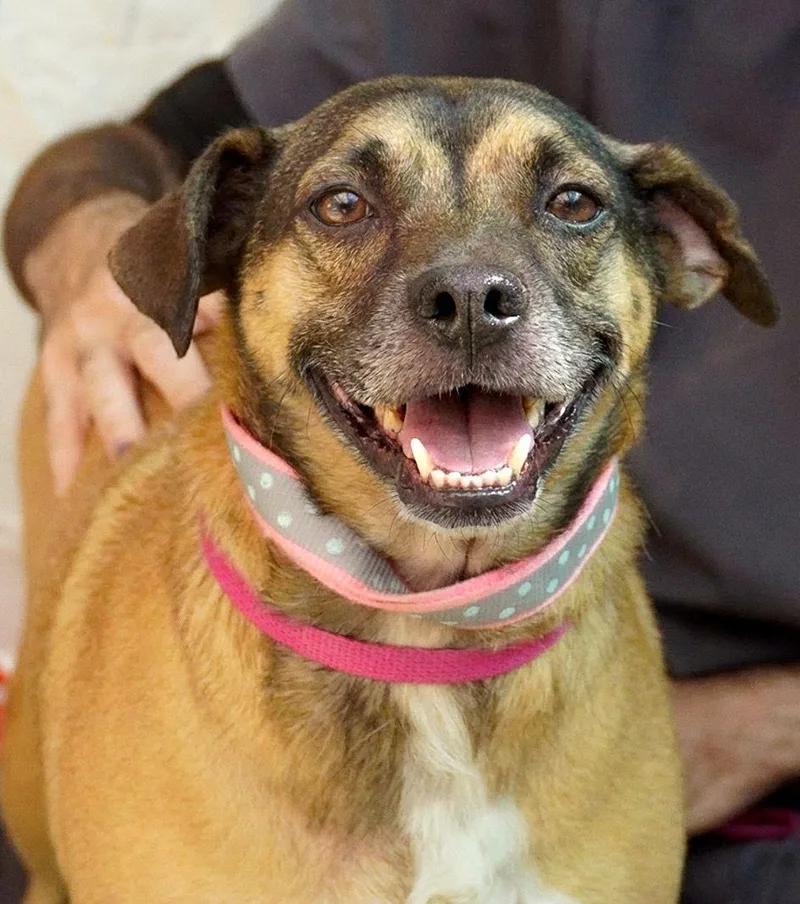 Harlem & Salem thumbnail 3