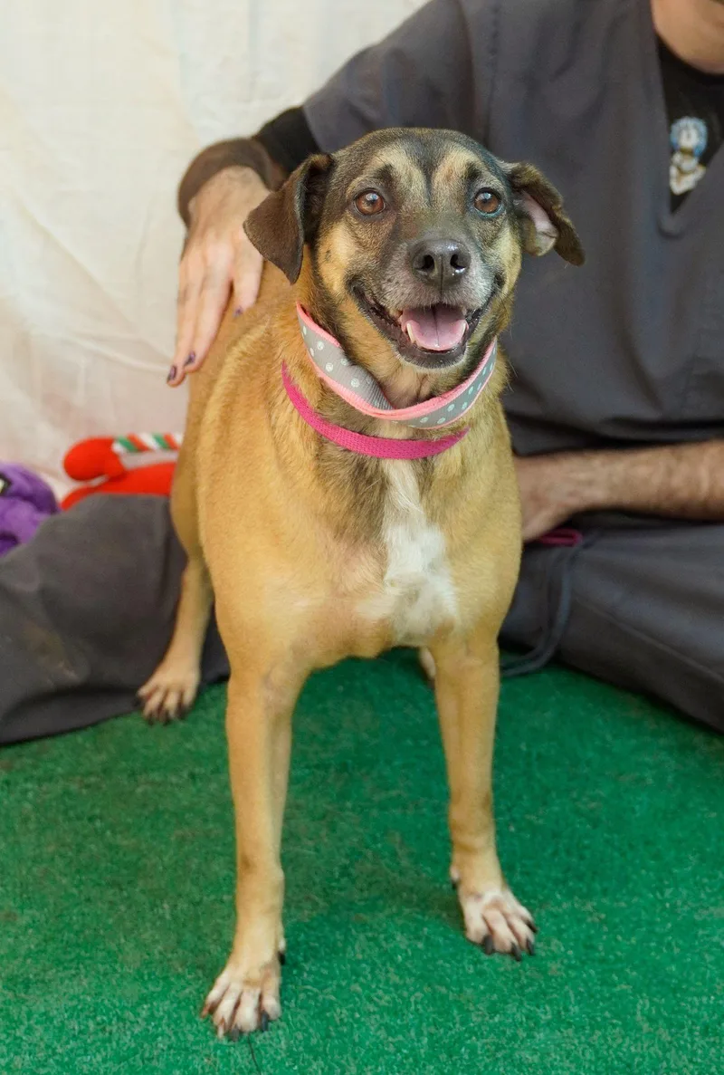 Harlem & Salem thumbnail 4