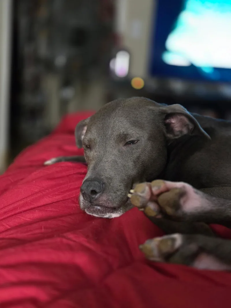 Chloe thumbnail 5