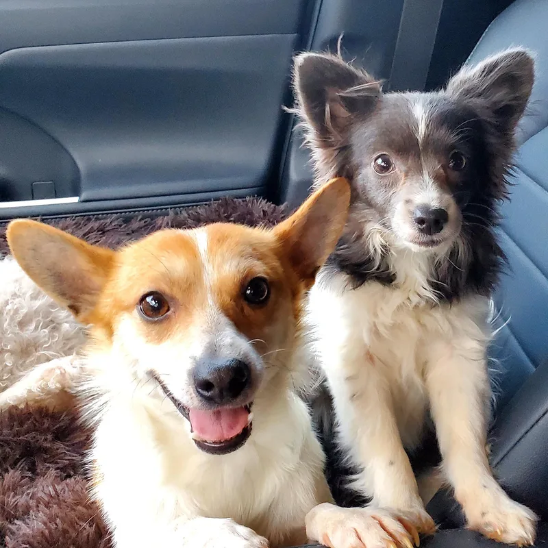 Charlie Brown & Poppy thumbnail 5