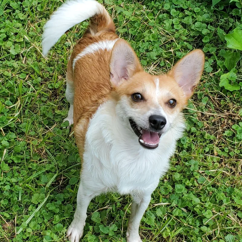 Charlie Brown & Poppy