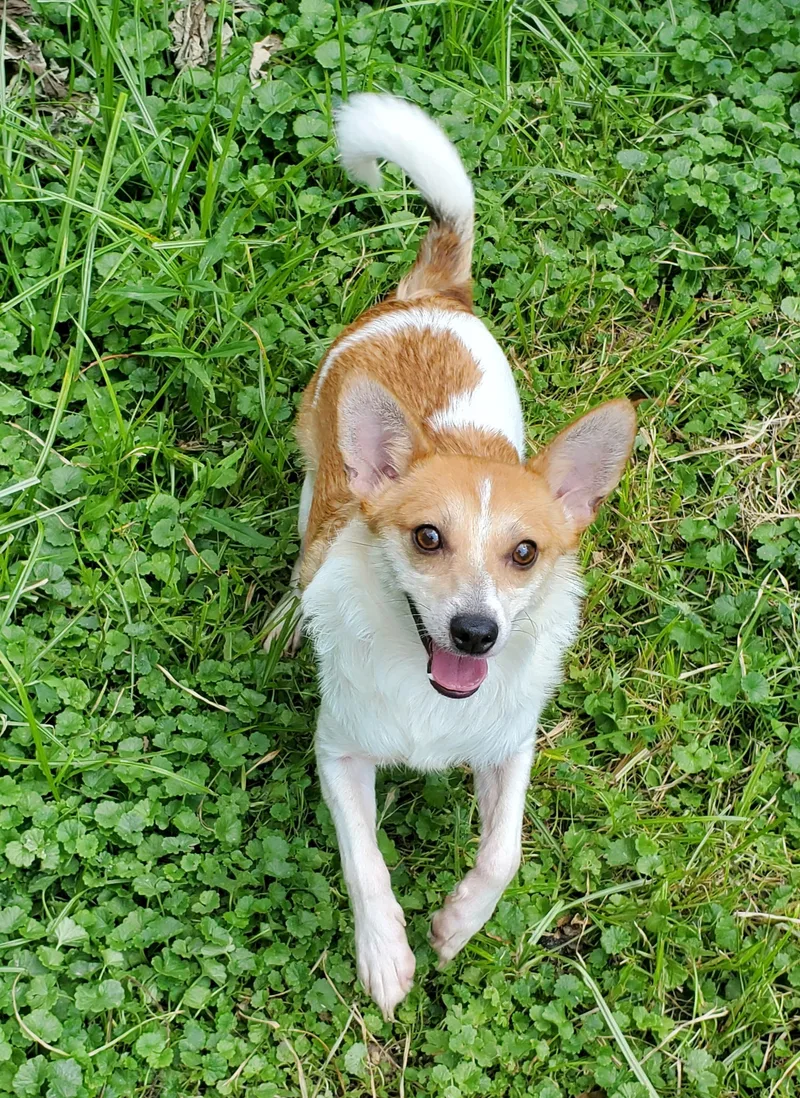 Charlie Brown & Poppy thumbnail 6