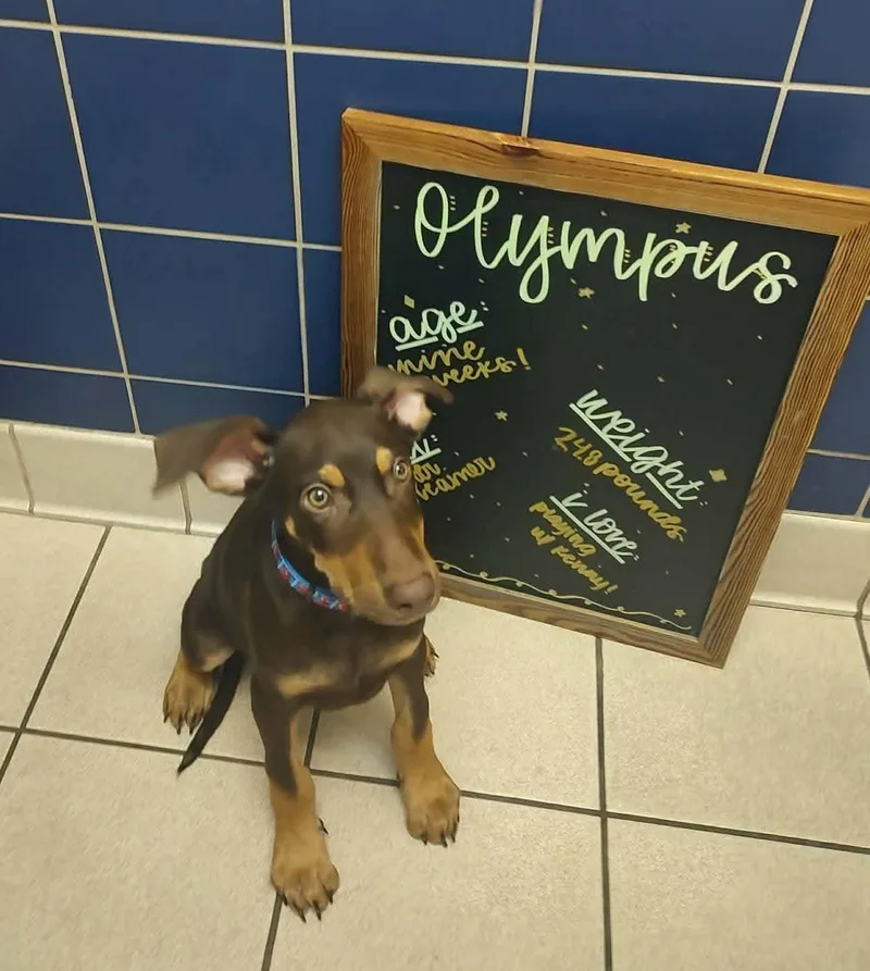 Olympus