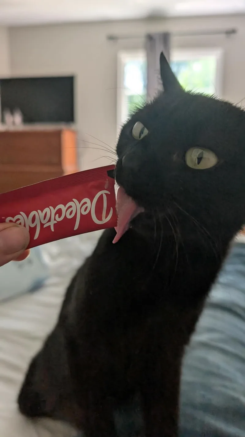 Velveeta thumbnail 2