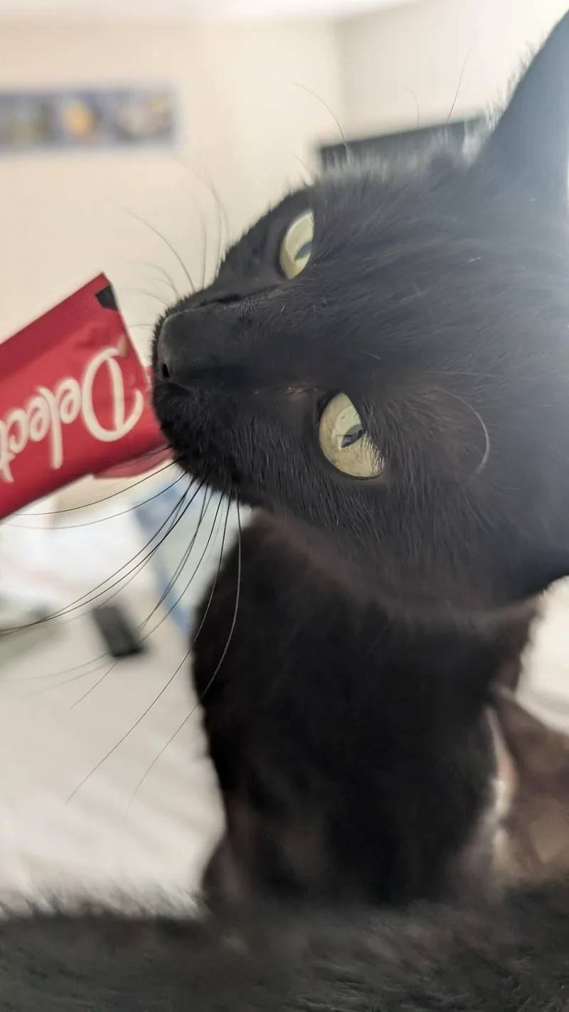Velveeta thumbnail 3