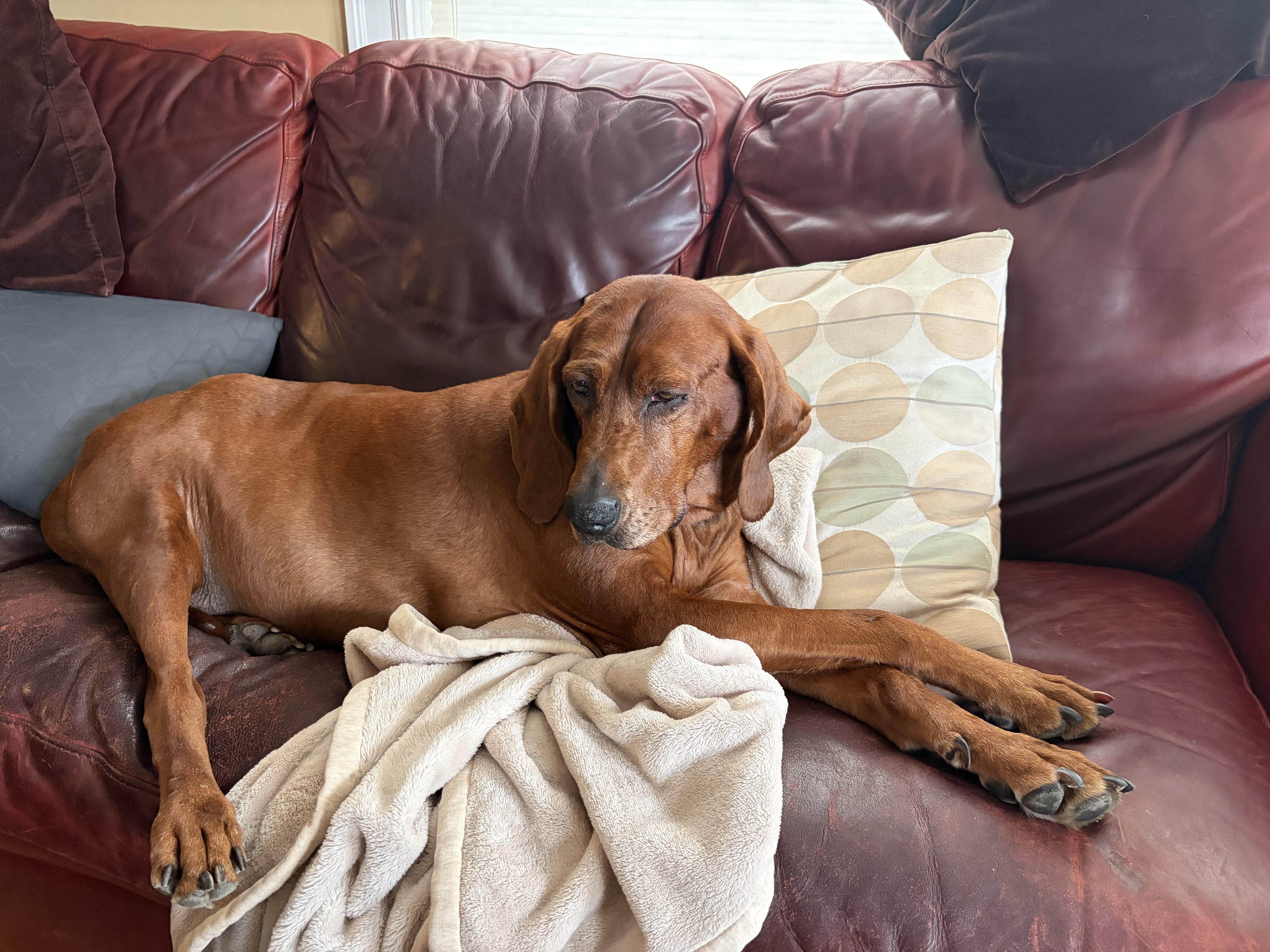 Penny Ruby Rose  thumbnail 2